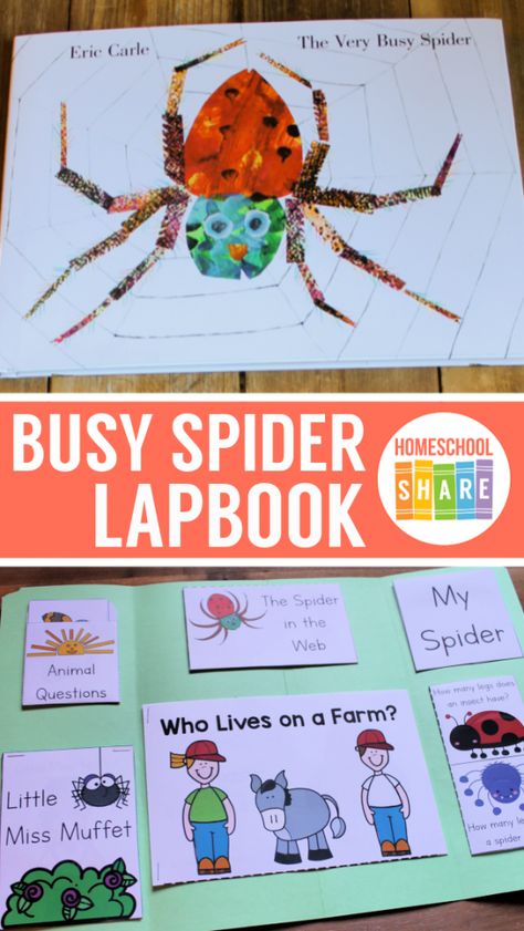 The Very Busy Spider Activities & Printables - Homeschool Share Busy Spider Activities, Very Busy Spider Activities, The Very Busy Spider Activities, Spider Unit Study, Letter S Activities, Spider Unit, The Very Busy Spider, Spider Activities, Spider Book