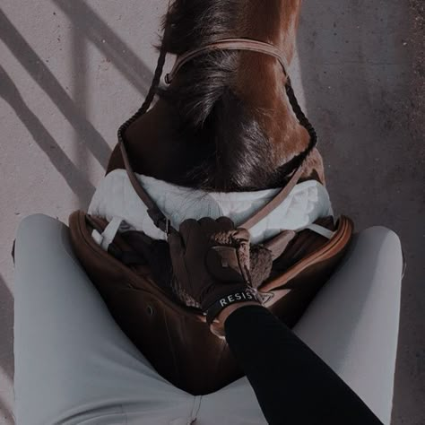 Willa Grant, Grant Aesthetic, Horse Riding Aesthetic, Equestrian Aesthetic, Horse Aesthetic, English Riding, Equestrian Lifestyle, Equestrian Sports, Horse Equestrian