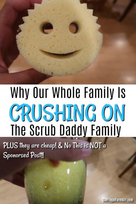 Scrub Daddy Cleaning, Homesteading Inspiration, Saving Money Tips, House Essentials, Thrifty Living, Pay Off Debt, Farm Ideas