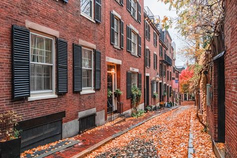 31 Fun Things To Do In Boston In The Fall (2024) - New England Wanderlust Boston Ideas Things To Do In, Boston Things To Do Fall, Fall In Boston, Boston Fall Aesthetic, Boston Fall, Things To Do In Boston, Boston In The Fall, Boston Public Market, Day Trips From Boston