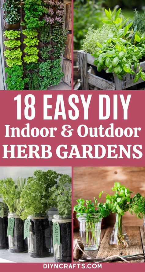 WOW! This list of fun and super easy DIY herb gardens is just what you need! Indoor and outdoor versions make it easy for anyone to grow herbs at home! #HerbGarden #Gardening #Garden #FreshHerbs #BackyardGarden Veg Gardens, Growing Herbs At Home, Bottle Planters, Standing Garden, Herb Garden Wall, Diy Container, Homesteading Tips, Gardening Food, Gardening Indoors