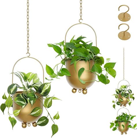 Amazon.com: Boho Hanging Planter, Set of 2 Metal Plant Hanger with Hooks and Chains, Modern Wall & Ceiling Planters Outdoor/Indoor Hanging Planter for Window Mid Century Flower Pot Plant Holder Home Décor (Gold) : Patio, Lawn & Garden Window Mid Century, Hanging Planters Outdoor, Flower Pot Hanger, Metal Plant Hangers, Metal Hanging Planters, Railing Planters, Hanging Planters Indoor, Small Flower Pots, Hanging Plant Holder