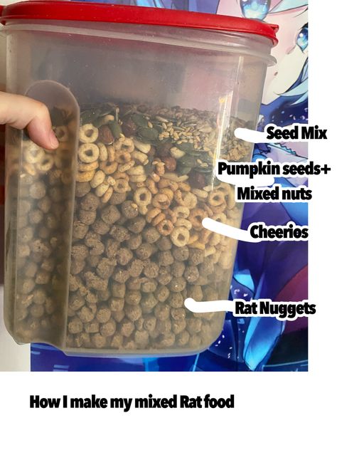 Pet Rat Food List, Rat Food Mix Recipe, Homemade Rat Food Recipes, Rat Food Recipe, Pet Rats Cages, Pet Rats Cages Diy, Pet Rat Tips, Rat Cage Ideas Aesthetic, Rat Enclosure Ideas