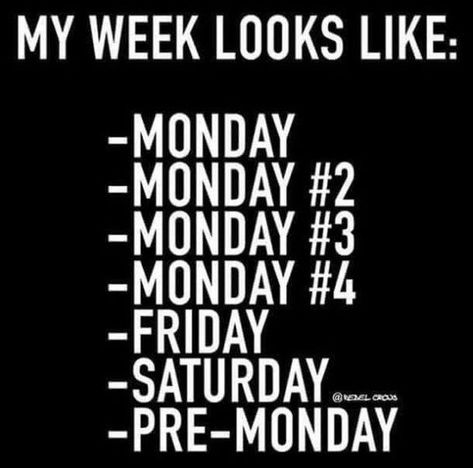 Thursday Humor, Monday Monday, Best Memes Ever, Weekday Quotes, Monday Humor, Monday Quotes, Work Memes, Work Humor, Work Quotes