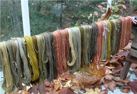 These results of a mushroom dyeing workshop I gave in early November inspired me to create this blog as an easy way to share how we arrived at these gorgeous hues. Over the next few weeks I plan to… Mushroom Dyeing, Different Mushrooms, Fabric Dyeing Techniques, Dyeing Yarn, Textile Dyeing, Natural Dye Fabric, Mushroom Crafts, Eco Dyeing, Spinning Wool