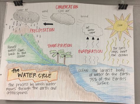 The Water Cycle Anchor Chart Science Anchor Charts 5th Grade, Water Cycle Anchor Chart, Water Cycle Project, Best Healthy Snacks, Science Anchor Charts, The Water Cycle, Snacks For Kids, 4th Grade Science, 6th Grade Science