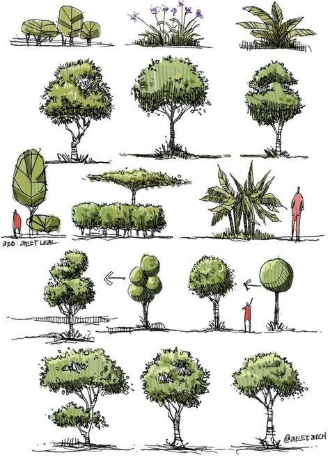 Trees Sketch, Architectural Trees, Landscape Design Drawings, Landscape Architecture Drawing, Nature Sketch, Tree Sketches, Landscape Sketch, Architecture Design Drawing, Architecture Concept Drawings