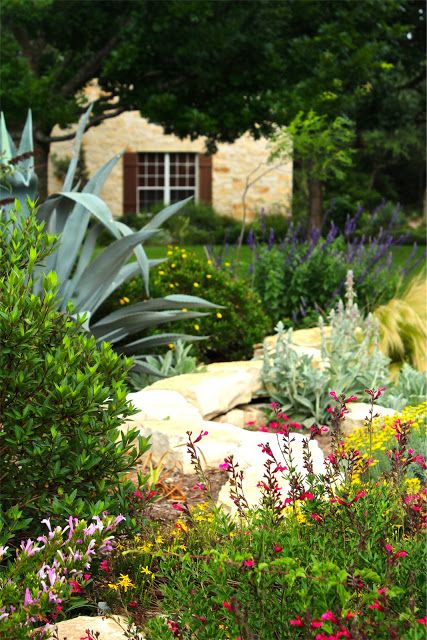 Texas Hill Country Landscaping Native Plants, Texas Gardens, Texas Landscaping, Xeriscape Landscaping, Pool Plants, Texas Plants, Texas Garden, Texas Native Plants, Yard Makeover