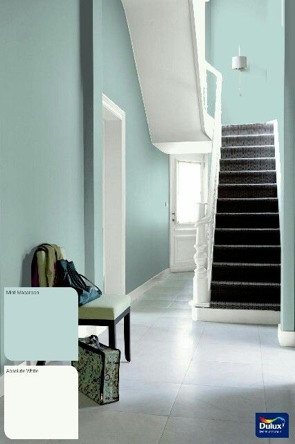 Mint macaroon and white Purple Wall Color, Dulux Blue, Hallway Designs, Hallway Design, Basement Design Ideas, Green Walls, Dark Walls, Purple Walls, Basement Design