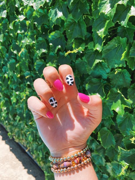 Neon Pink Cow Print Nails, Short Almond Cow Print Nails, Preppy Summer Nails Almond, Hot Pink And Cow Print Nails, Pink Cowprint Nails Acrylic, Nail Inspo Cow Print, Almond Cow Print Nails, Pink And Cow Print Nails, Hot Pink Cow Print Nails