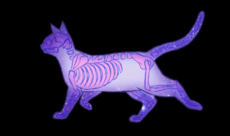 Anatomy References, Cat Anatomy, Flipagram Instagram, Animation Reference, Wow Art, Space Cat, Warrior Cat, Arte Animal, 판타지 아트