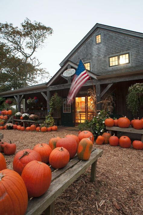 Marthas Vineyard In The Fall, Nantucket Fall, November Moodboard, Edgartown Massachusetts, Boston Fall, October Travel, Things To Do In Summer, Vineyard Vacation, Movie Houses