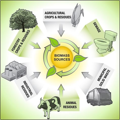 Biomass-Renewable energy sources Types Of Renewable Energy, Anaerobic Digestion, Energy Ideas, Biomass Energy, Renewable Energy Resources, Solar Energy Diy, Renewable Sources, Energy Resources, Renewable Sources Of Energy