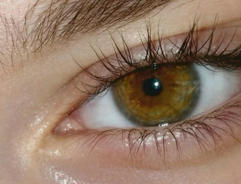 Hazel Eyes Aesthetic, Dark Hazel Eyes, Eye Aesthetics, Green Brown Eyes, Pretty Eyes Color, Hazel Brown Eyes, Dark Green Eyes, Brown Eyes Aesthetic, Eyes Chico They Never Lie