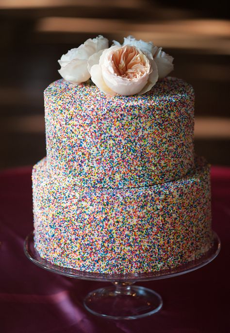 Queer Wedding Cake, Sprinkle Covered Cake, Funfetti Wedding Cake, Sprinkle Wedding Cakes, Anguilla Wedding, Rainbow Wedding Cake, Engaged Photos, Rainbow Sprinkle, Spring Wedding Cake