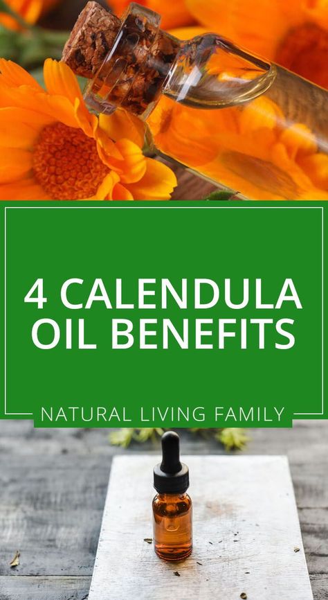 Calendula Oil Benefits, Carrier Oil Benefits, Calendula Essential Oil, Wild Foraging, Calendula Benefits, Home Remedies For Skin, Calendula Oil, Essential Oil Benefits, Healing Oils