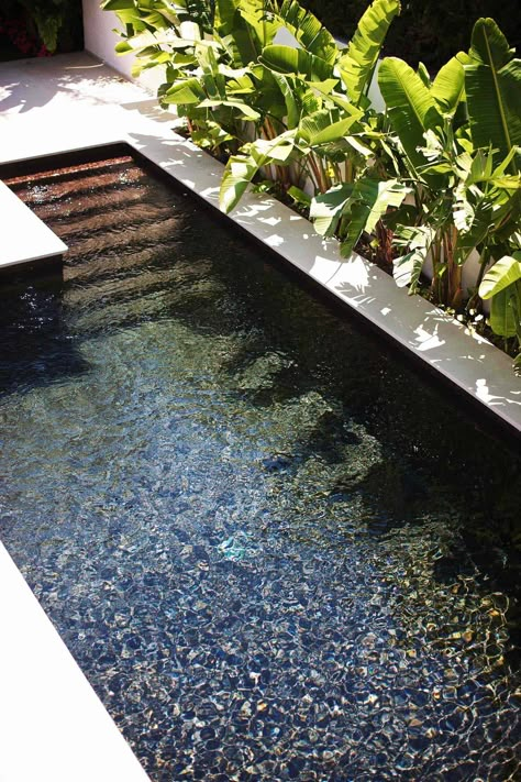 28 Refreshing plunge pools that are downright dreamy Kolam Koi, Small Backyards, Small Swimming Pools, Plunge Pools, Swimming Pool Ideas, Mini Pool, Small Pool Design, Natural Swimming Pools, Small Pools