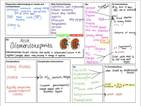 Acute glomerulonephritis concept map for nursing Glomerulonephritis Nursing, Acute Glomerulonephritis, Renal Disorders Nursing, Nursing Concept Map Examples, Nursing Concept Map, Concept Maps Nursing Student, Pathophysiology Nursing Concept Map, Concept Map Nursing, Pathophysiology Nursing