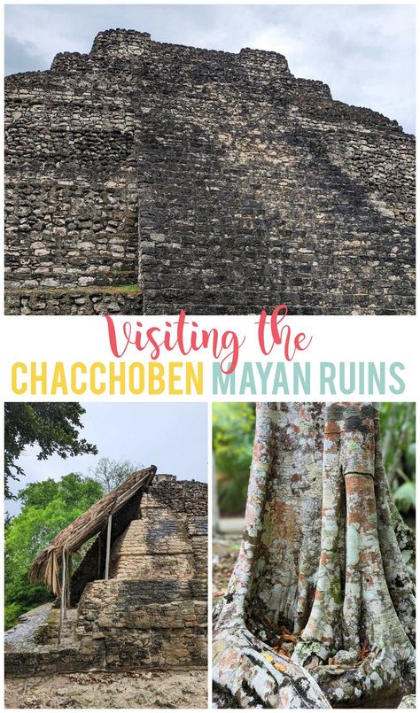 Chacchoben is a great place to visit Mayan ruins if you are docking in Puerto Costa Maya. Find out what you need to know to plan your tour of Chacchoben. Chacchoben Mayan Ruins, Puerto Costa Maya Mexico, Puerto Costa Maya, Costa Maya Excursions, Timeout Corner, Costa Maya Mexico, Carribean Cruise, Maya Ruins, Summer Cruise