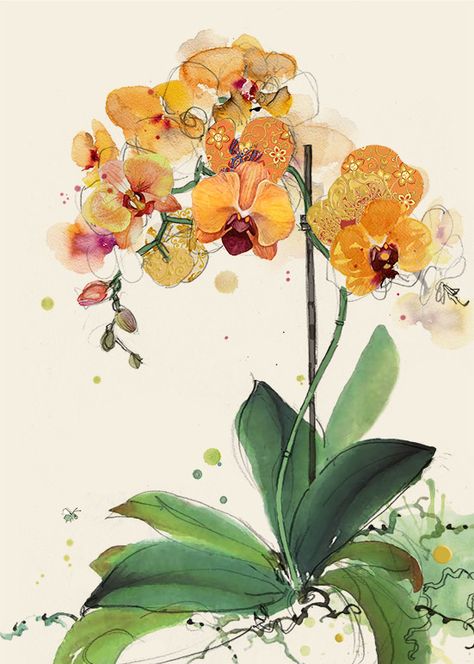 Orkide Flower Drawing, Orchid Drawing Watercolor, Orchid Illustration Drawing, Watercolor Orchids Painting, Orchid Art Painting, Orange Flowers Drawing, Orchid Watercolor Painting, Orchid Painting, Orchid Illustration