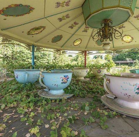 Abandoned tea cup ride 🍵 Nara Dreamland, Abandoned Theme Parks, Abandoned Amusement Park, Haunting Photos, Abandoned Amusement Parks, Parc D'attraction, Abandoned Mansions, Abandoned Buildings, Back To Nature