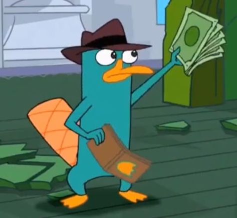 Ferb I Know What Were Gonna Do Today, Perry The Platypus Funny, Phineas And Ferb Perry The Platypus, Perry The Platypus Pfp, Perry The Platypus Icon, Phineas And Ferb Pfp, Human Perry The Platypus, Perry The Platypus Aesthetic, Parry The Platypus