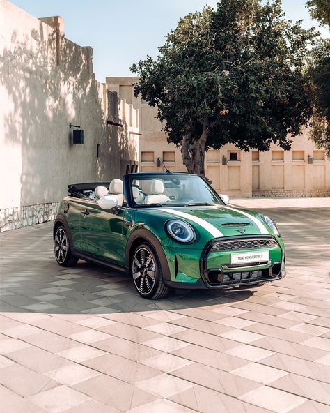 When the sun is out, we put the top down in the MINI Cooper S Convertible😎 #MINI #SummerGetaway #MINICooperS Green Mini Cooper Aesthetic, Minicooper Mini Coopers, Mini Cooper Green, Green Mini Cooper, Convertible Mini Cooper, Cars Convertible, Mini Cooper S Convertible, Mini Auto, Mini Cooper Convertible