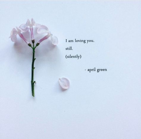 April Green Bridgett Devoue, Rose Quotes, Purple Flowers Wallpaper, Happy Girl Quotes, Romantic Book Quotes, Meaningful Love Quotes, Small Quotes, Inspirational Quotes About Success, Einstein Quotes