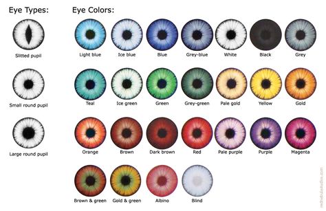 Types Of Eye Colors, Different Types Of Eyes, Rare Eye Colors, Eye Colours, Eye Color Chart, Eyeshadow Eyebrows, Rare Eyes, Blue Eye Color, Rp Ideas