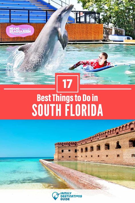 17 Best Things to Do in South Florida — Top Activities & Places to Go! Things To Do In South Florida, South Florida Wedding Venues, Florida Activities, Travel Miami, South Beach Florida, Florida Adventures, Miami Travel, Things To Do In Florida, Indian Pictures