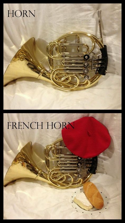 French Horn, Ideas Style, Home Ideas, Horn, Style Inspiration, Band, Memes, White