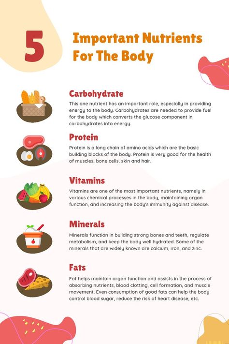 Discover the Top 5 Nutrients Your Body Needs to Stay Healthy Balanced Meals, Essential Nutrients, Kids Nutrition, Health Lifestyle, Smoothie Diet, Health Education, Balanced Diet, Healthy Fats, Get Healthy