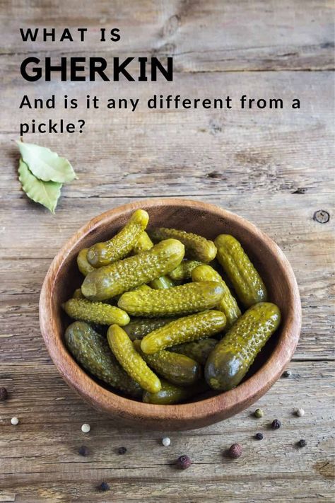 Let's look at some of the differences between gherkins, pickles, cucumbers, and cornichons. Canning Sweet Gherkin Pickles, Pickled Gherkins Recipe, Mini Cucumber Pickles, Sweet Gherkins Pickles Recipes, Gherkins Pickles Recipes, Gherkins Recipe, Sweet Gherkin Pickle Recipe, Gherkins Pickles, Sweet Gherkins