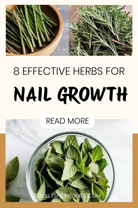 Discover the power of herbs to naturally promote nail growth and strengthen your nails. With this DIY nail soak recipe, you can experience the benefits of using herbs for nail strengthening in a convenient way. Explore the world of natural remedies for brittle nails and learn how essential oils can contribute to nail growth. Not only do these herbal solutions help with nails, but they also work wonders for hair health and growth! Diy Nail Soak, Cuticle Oil Diy, Nail Strengthening, Body Maintenance, Power Snacks, Herbal Education, Power Of Healing, Environmentally Friendly Living, Medicinal Herbs Garden