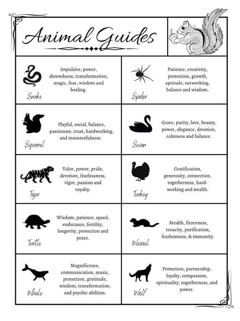 Animals And Their Symbolism, Spirit Animal List, Animal Totem Spirit Guides, Witch Symbols, Spirit Animal Meaning, Animal Meanings, Spiritual Animal, Shamanic Healing, Zodiac Signs Chart