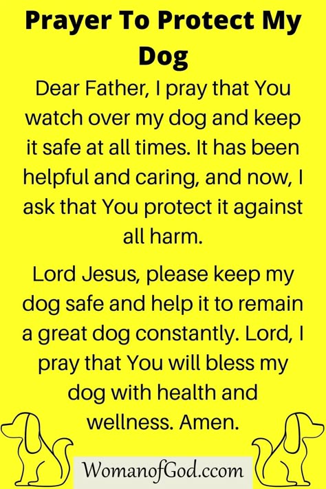 Prayer To Protect My Dog Prayers For My Dog, Prayers For Pets Dogs, Prayer For My Dogs Health, Prayers For Dogs, Dog Prayer, Prayer For Sick Dog, Midnight Prayer, Prayers Of Gratitude, Sick Dog