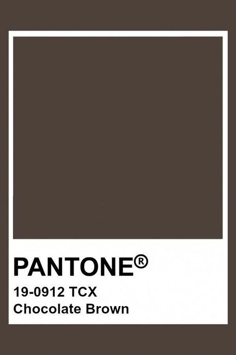 Dark Brown Pantone, Pantone Brown, Brown Pantone, Dark Peach Color, Period Blood, Pantone Color Chart, Pantone Swatches, Woman Health, Pantone Palette