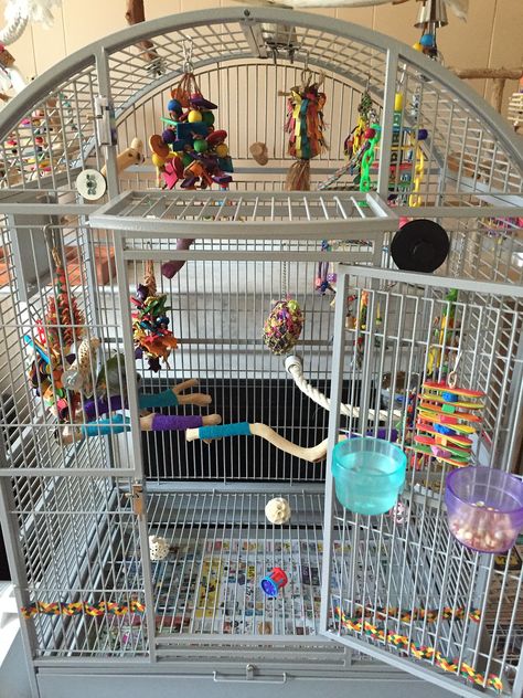 Bird Cage Setup Ideas, Quaker Parrot Cage Setup, Parrot Cage Setup, Bird Setup, Bird Cage Setup, Cockatoo Toys, Pet Rooms, Homemade Bird Toys, Parrot Cages