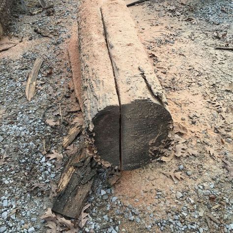 My husband went hunting a couple weeks ago and brought home a couple large logs, some became firewood and others, well, we played this afternoon and have a couple benches ready for finishing.  Great fun.   This is what we started out with.  It's roughly 10' long.  First thing was to cut it in half giving us two 5' lengths to work with.   If you look closely you can see two blue chalk lines.  That's where he'd like to cut.  That'll give us one central piece and two outside edges.  I'm t… Log Bench Diy, Outside Benches, Diy Plate Rack, Log Bench, Cedar Bench, Making A Bench, Bench Legs, Mother Daughter Projects, Small Bench