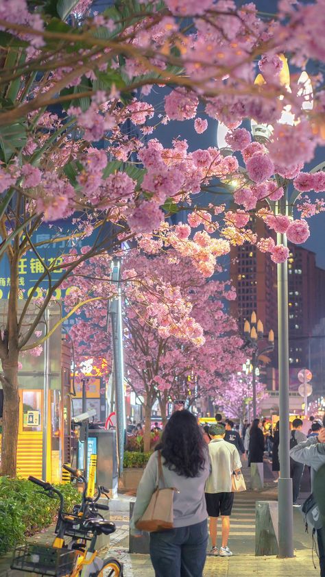 Japan Asthetics Photos, Asthetics Photos, Glowing Flowers, App Pictures, Iphone Lockscreen Wallpaper, Beautiful Roads, Nothing But Flowers, Cross Stitch Bird, Hijab Tutorial