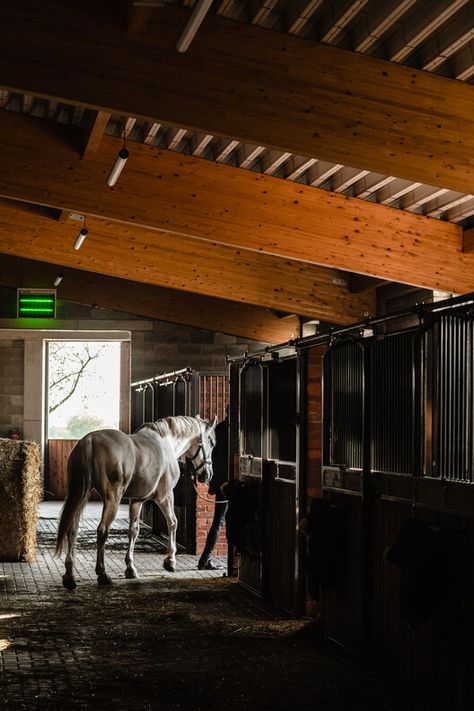 Gallery of Horse House Stable / wiercinski-studio - 21 Equine Stables, Sawtooth Roof, Monopitch Roof, Horse House, Horse Facility, Wooden Gates, Farm Buildings, Roof Structure, Concrete Structure