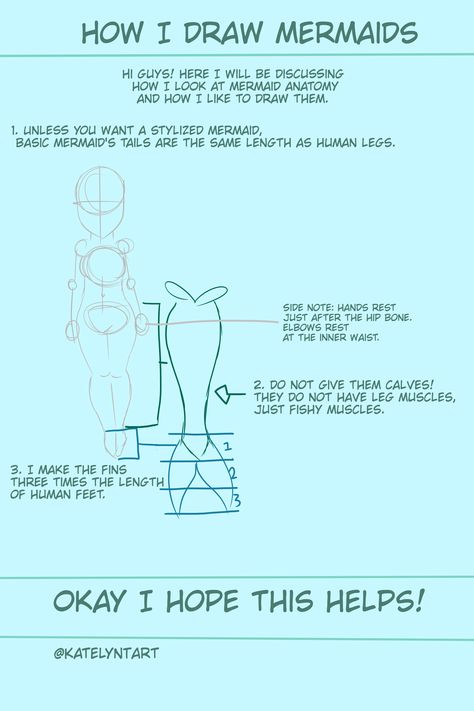 Mermaid Proportions, Mermaid Anatomy, Mermaid Reference, Draw Mermaid, Human Legs, Mermaid Fin, Mermaid Drawings, Character Base, Guided Drawing