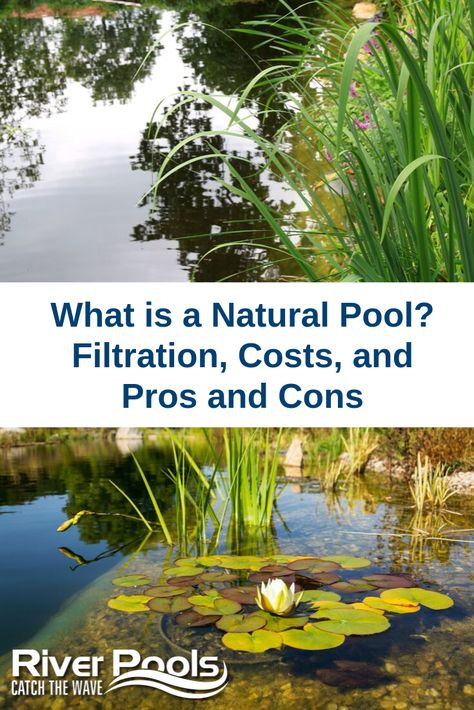 Natural Pool Diy How To Build, Natural Man Made Pool, Naturally Filtered Swimming Pool, Naturally Filtered Pool, Building A Natural Swimming Pool, Natural Salt Water Pool, Chemical Free Swimming Pool, How To Make A Natural Swimming Pool, Natural Design Pool