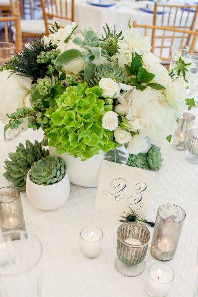 Gorgeous greens Reposted by #paradisoinsurance We insure weddings! http://www.paradisoinsurance.com/coverage/wedding/#/ Succulent Wedding Decorations, Preppy Backyard, Backyard Wedding Photography, Succulent Wedding Decor, Succulent Wedding Centerpieces, Succulent Centerpieces, Green Inspiration, Succulents Decor, Connecticut Wedding