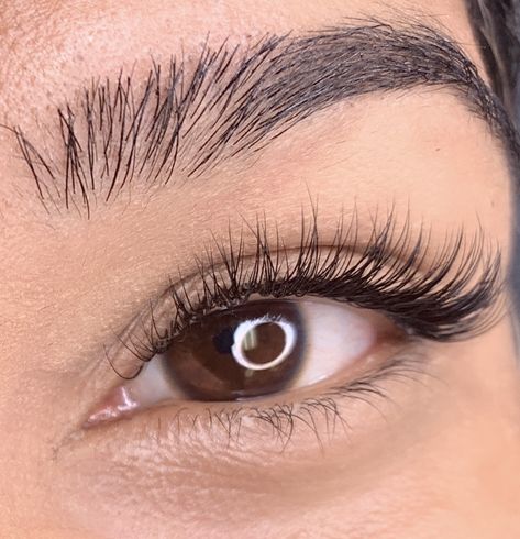 Lash Extensions Styles Natural Mapping, Eyelash Extension Natural Look, Classic Lash Extensions For Hooded Eyes, Hybrid Lash Extensions Styles Natural, Natural Looking Lash Extensions Styles, Natural Lash Extensions Hooded Eyes, Lash Extensions Styles Natural Cat Eye, Eye Lash Extensions Styles Natural, Natural Eyelash Extensions Cat Eye