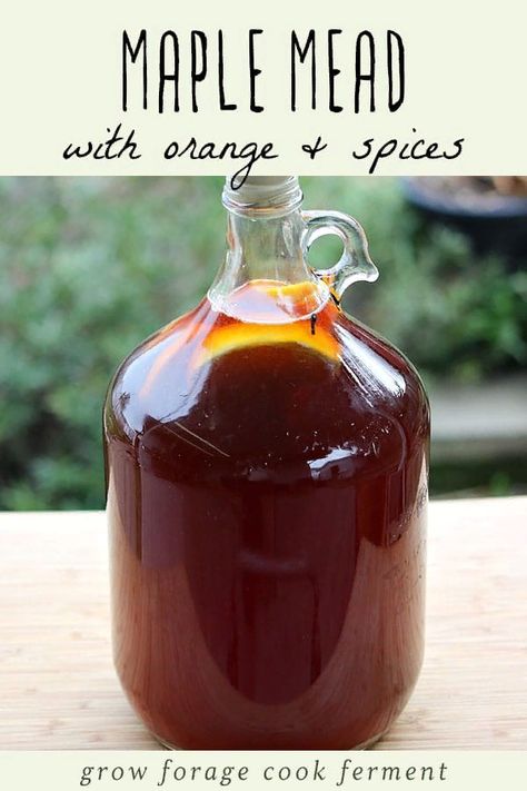 Honey Mead, Wine Making Recipes, Homemade Wine Recipes, Mead Wine, Mead Recipe, Homemade Alcohol, Honey Wine, Brewing Recipes, Homemade Liquor