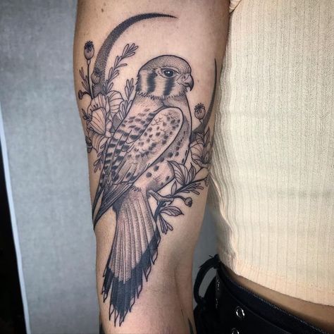 American Kestrel Tattoo, Sparrowhawk Tattoo, Nighthawk Tattoo, Kestrel Tattoo, Parrot Tattoo, Front Shoulder Tattoos, Hawk Tattoo, American Kestrel, Tattoos Inspiration