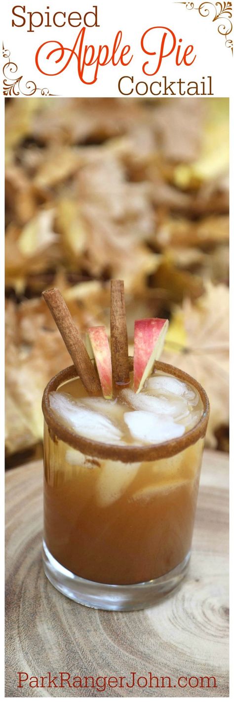 This Spiced Apple Pie Cocktail has all the classic fall drinks flavors everyone loves including apple, caramel, and cinnamon. It's like fall in a glass! Spiced Apple Pie, Football Party Recipes, Apple Pie Cocktail, Autumn Drinks, Christmas Shots, Apple Cocktail, Apples And Cinnamon, Apple Caramel, Cocktail Chic