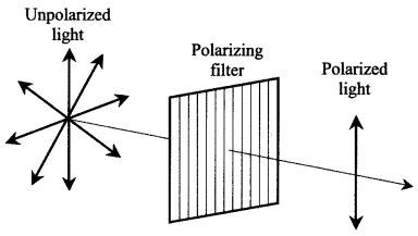 SAT Physics Physical Optics - Polarization Of Light Light Physics, Diffraction Grating, Dispersion Of Light, Electromagnetic Waves, Organic Molecules, Light Waves, Triangular Prism, Electromagnetic Spectrum, Polarizing Filter