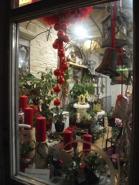 Flower Shop Window Modern, Christmas Shop Window, Flower Shop Decor, Christmas Windows, Flower Business, Flowers Shop, Flower Shops, Winter Morning, Florist Shop